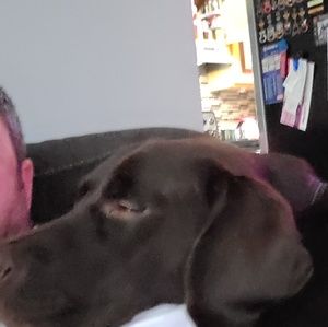 Meet your Posher, Corbin